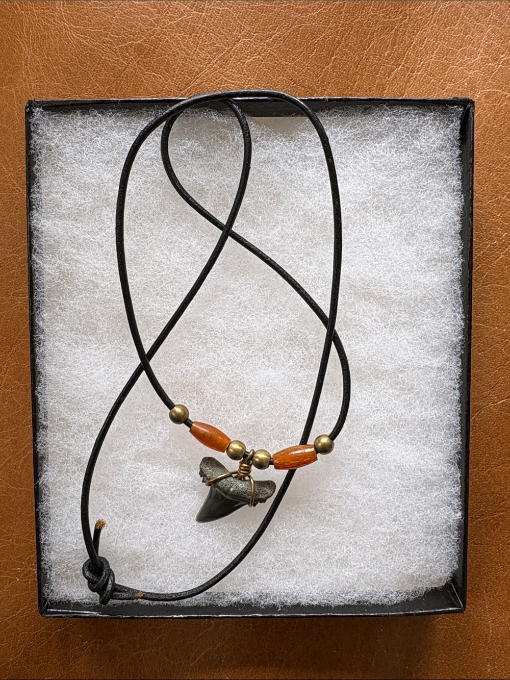 Shark tooth with Leather Cord Necklace